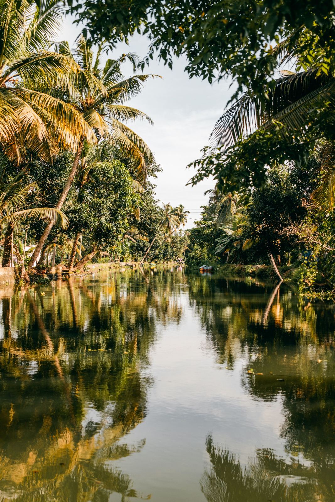 Kerala Bliss Tour – Mountains, Wildlife & Waters