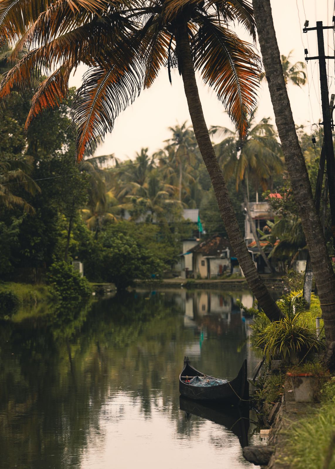Best of Kerala – Hill Stations, Wildlife & Backwaters