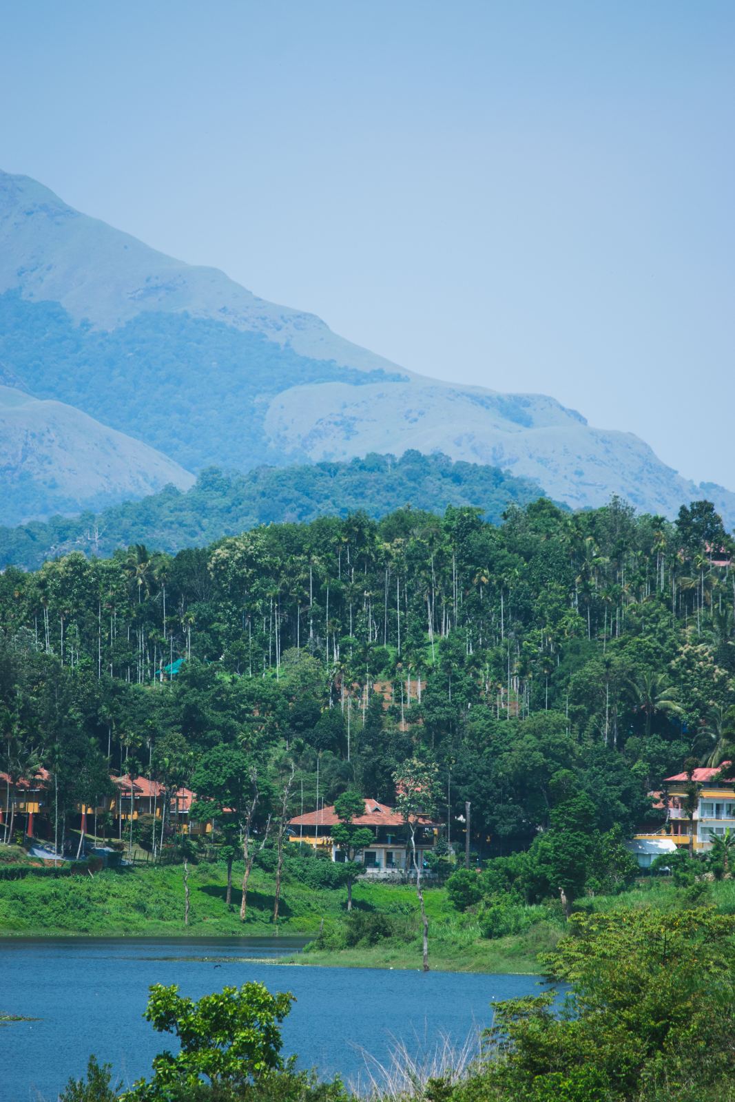 Romantic Kerala Escape – Backwaters & Hill Breezes