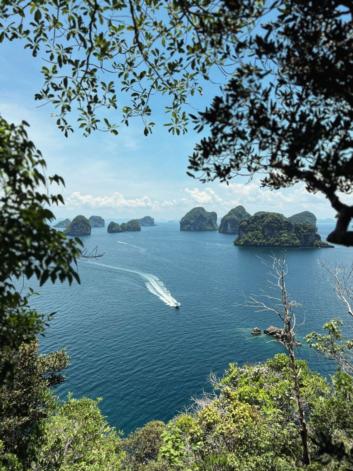 Best Andaman Package For 6 D / 5 N
