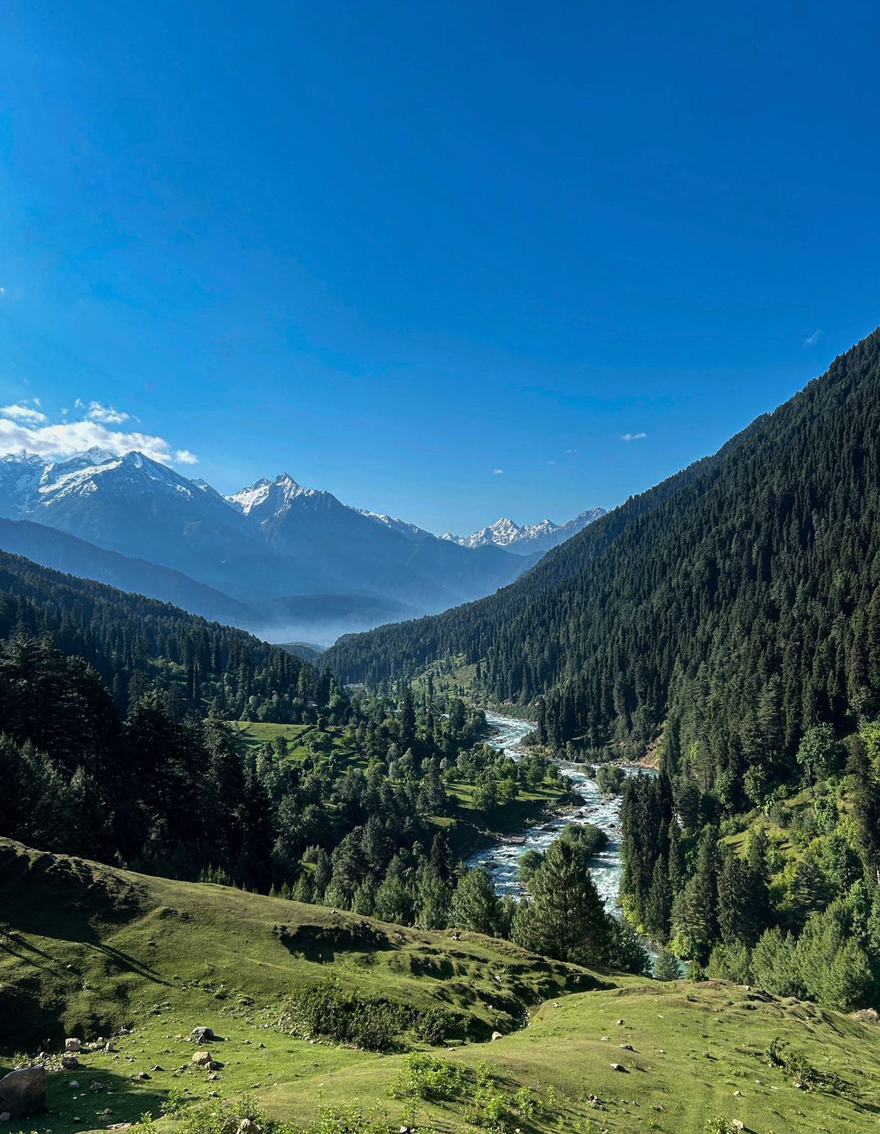 Kashmir Experience Tour Package