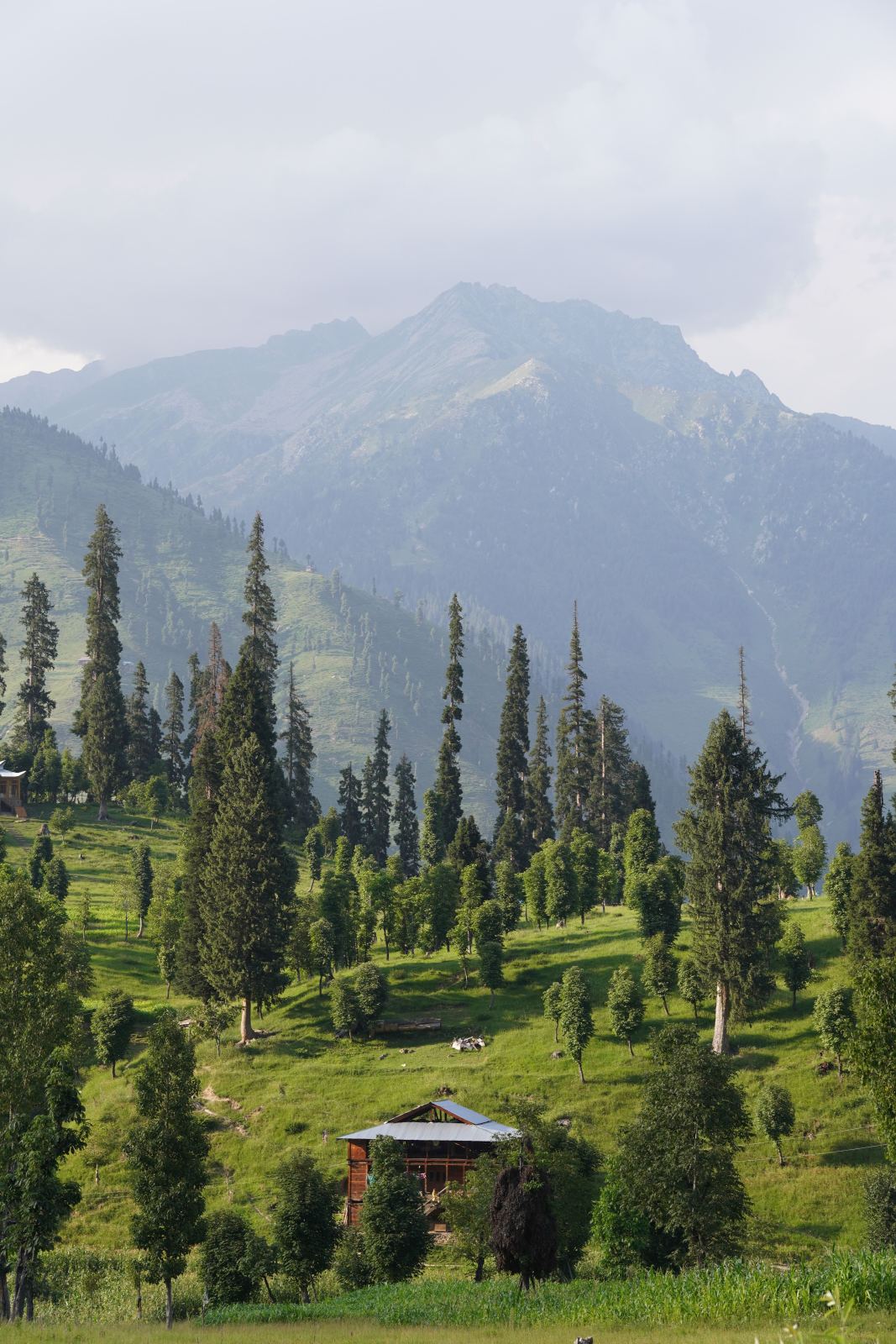 Kashmir Delight Tour Package – 6 Days / 5 Nights