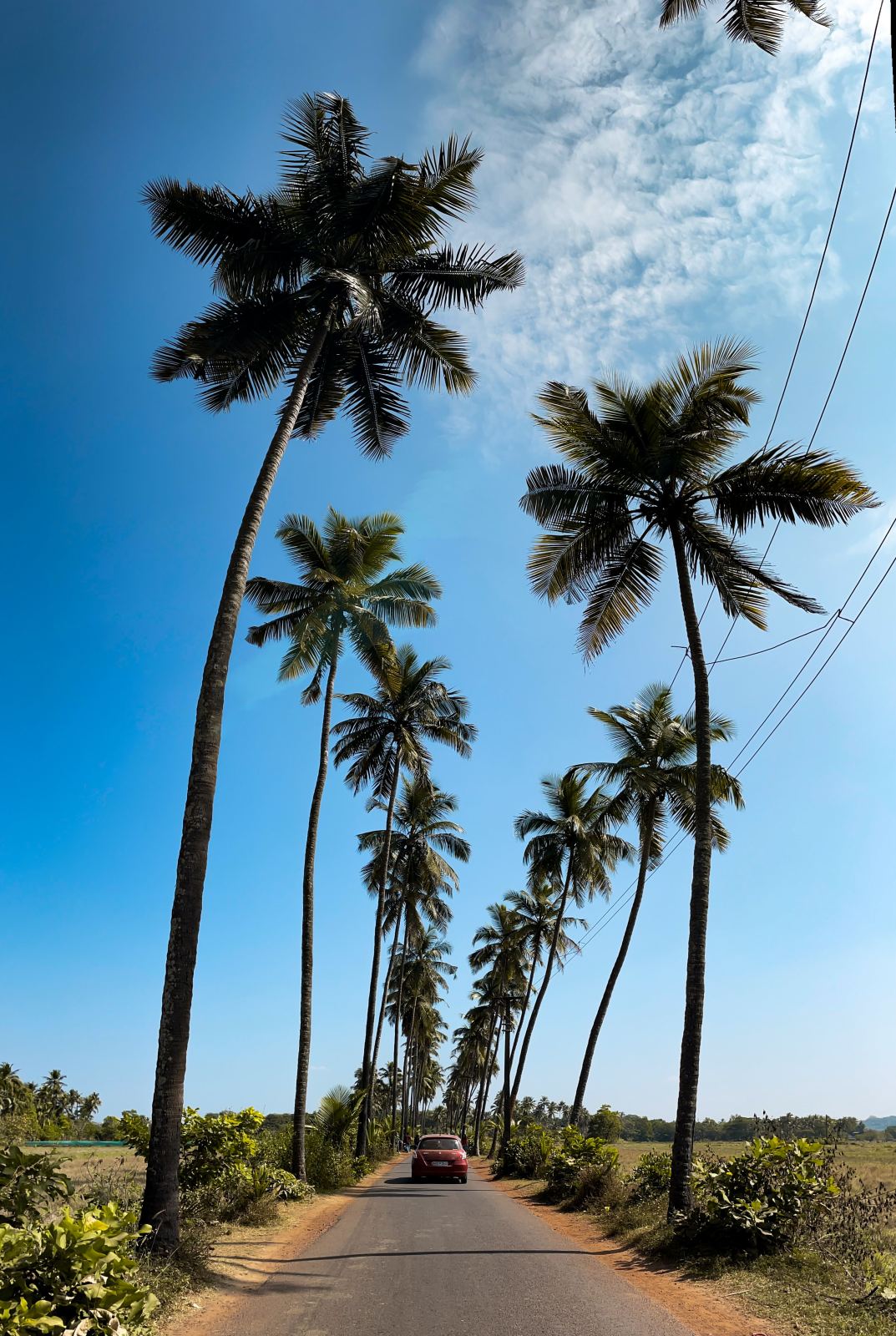 Best Goa Holiday Package